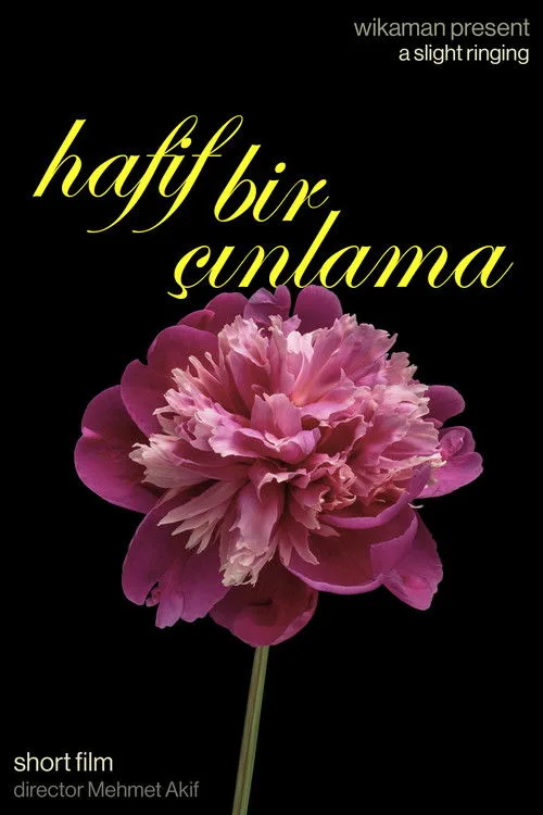 Hafif Bir Ç?nlama