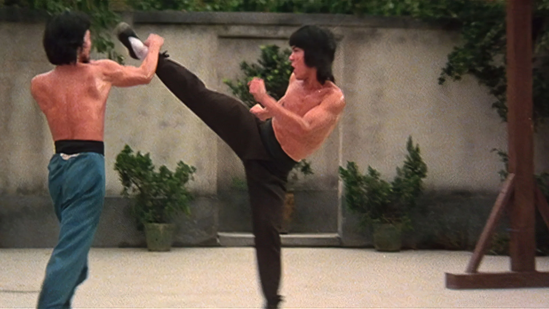 Kung-fu bratři